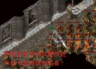 传奇宝宝系列如何快速升级与获取稀有装备? 传奇宝宝系列如何快速升级与获取稀有装备?